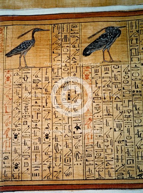 Papyrus from the tomb of Cha.