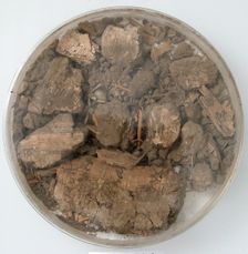 Papyri Fragments and Mud, Coptic, 7th century. Creator: Unknown
