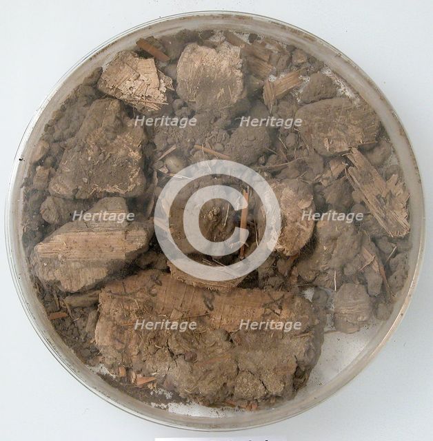 Papyri Fragments and Mud, Coptic, 7th century. Creator: Unknown.