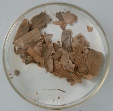 Papyri Fragments, Coptic, 7th century. Creator: Unknown