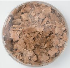 Papyri Fragments, Coptic, 7th century. Creator: Unknown