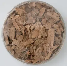 Papyri Fragments, Coptic, 7th century. Creator: Unknown