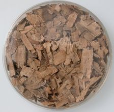 Papyri Fragments, Coptic, 7th century. Creator: Unknown