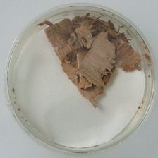 Papyri Fragments, Coptic, 7th century. Creator: Unknown