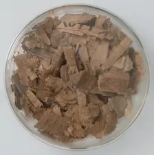 Papyri Fragments, Coptic, 7th century. Creator: Unknown