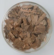 Papyri Fragments, Coptic, 7th century. Creator: Unknown