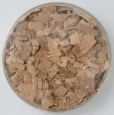 Papyri Fragments, Coptic, 7th century. Creator: Unknown