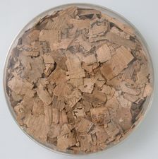 Papyri Fragments, Coptic, 7th century. Creator: Unknown