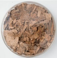 Papyri Fragments, Coptic, 7th century. Creator: Unknown