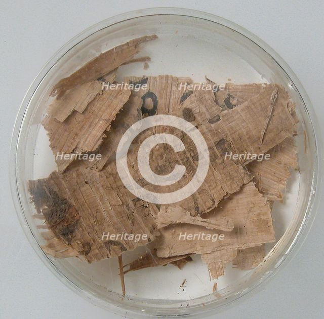 Papyri Fragments, Coptic, 7th century. Creator: Unknown.