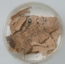 Papyri Fragments, Coptic, 7th century. Creator: Unknown