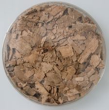 Papyri Fragments, Coptic, 7th century. Creator: Unknown