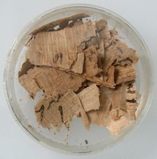 Papyri Fragments, Coptic, 7th century. Creator: Unknown