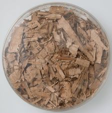 Papyri Fragments, Coptic, 7th century. Creator: Unknown