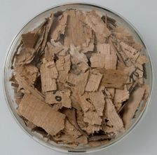 Papyri Fragments, Coptic, 7th century. Creator: Unknown