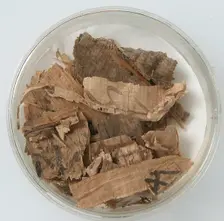 Papyri Fragments, Coptic, 7th century. Creator: Unknown