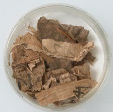 Papyri Fragments, Coptic, 7th century. Creator: Unknown