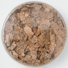 Papyri Fragments, Coptic, 7th century. Creator: Unknown