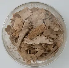 Papyri Fragments, Coptic, 7th century. Creator: Unknown