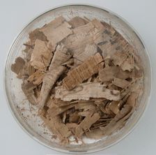 Papyri Fragments, Coptic, 7th century. Creator: Unknown