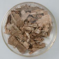 Papyri Fragments, Coptic, 7th century. Creator: Unknown