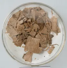 Papyri Fragments, Coptic, 7th century. Creator: Unknown