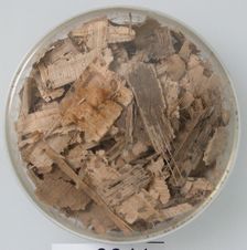 Papyri Fragments, Coptic, 7th century. Creator: Unknown