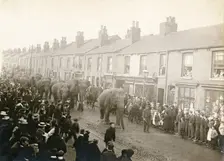 Parade of Barnum and Bailey's Circus elephants, Chesterfield, Derbyshire, 1899. Creator: Unknown