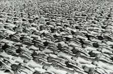 Parade of the Young Communists, Moscow, USSR, 1930s