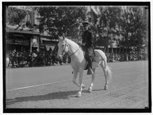 Parade On Pennsylvania Ave, between 1910 and 1921. Creator: Harris & Ewing
