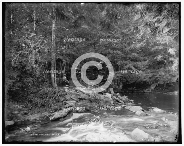 Paradise Falls near Henryville, Pa., c1900. Creator: Unknown.