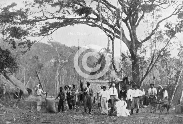 Paraguayan tea gathering, Paraguay, 1911. Artist: Unknown