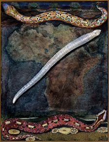 Parasites: a parasitical worm, shown much enlarged, with its hosts, c1930. Creator: J Svoboda
