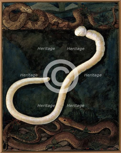 Parasites: a parasitical worm, shown much enlarged, with its hosts, c1930. Creator: J Svoboda.