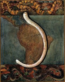 Parasites: a parasitical worm, shown much enlarged, with its hosts, c1930. Creator: J Svoboda
