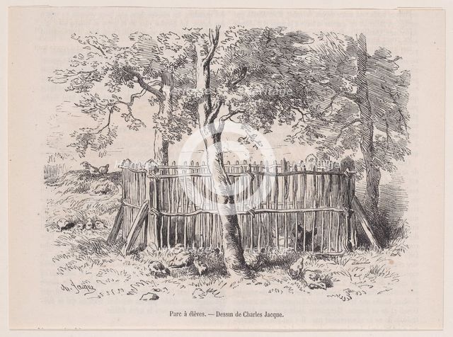 Parc à élèves; from Magasin Pittoresque, ca. 1852. Creator: Charles Emile Jacque.