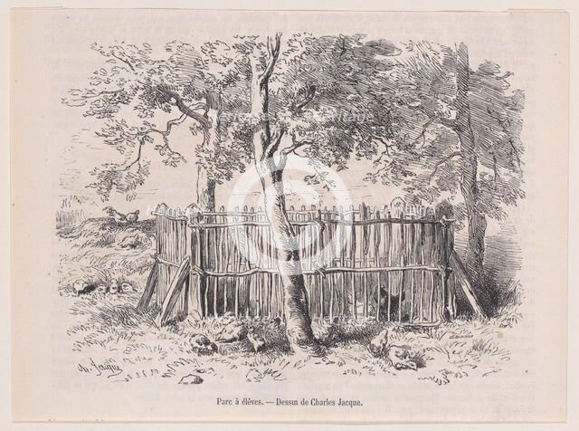 Parc à élèves; from Magasin Pittoresque, ca. 1852. Creator: Charles Emile Jacque.