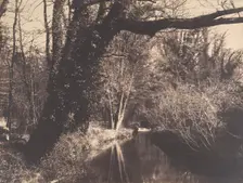 Parc de Courances, 1860-70. Creator: Eugène Cuvelier