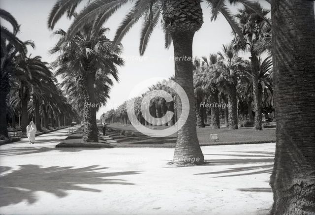 Parc Lyautey, Casablanca, Morocco, c1955.  Creator: Arthur Charles Kirby Ware.