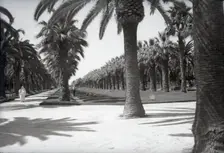 Parc Lyautey, Casablanca, Morocco, c1955. Creator: Arthur Charles Kirby Ware