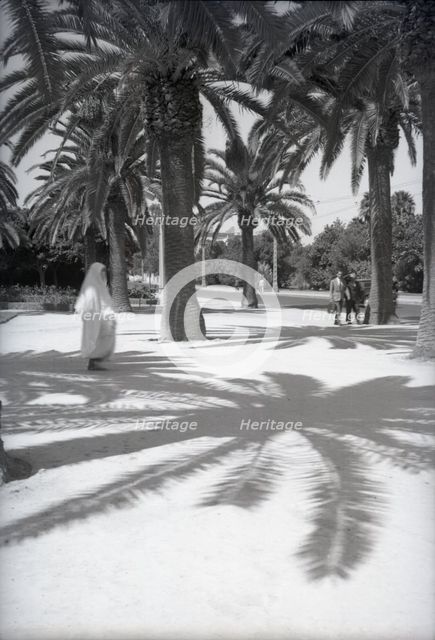Parc Lyautey, Casablanca, Morocco, c1955. Creator: Arthur Charles Kirby Ware.