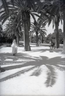 Parc Lyautey, Casablanca, Morocco, c1955. Creator: Arthur Charles Kirby Ware