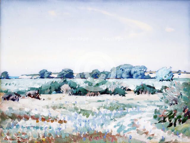 Pareora riverbed, 1920-1950. Creator: Archibald Frank Nicoll.