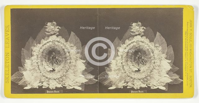 Parepa Rosa, 1874. Creator: John P. Soule.