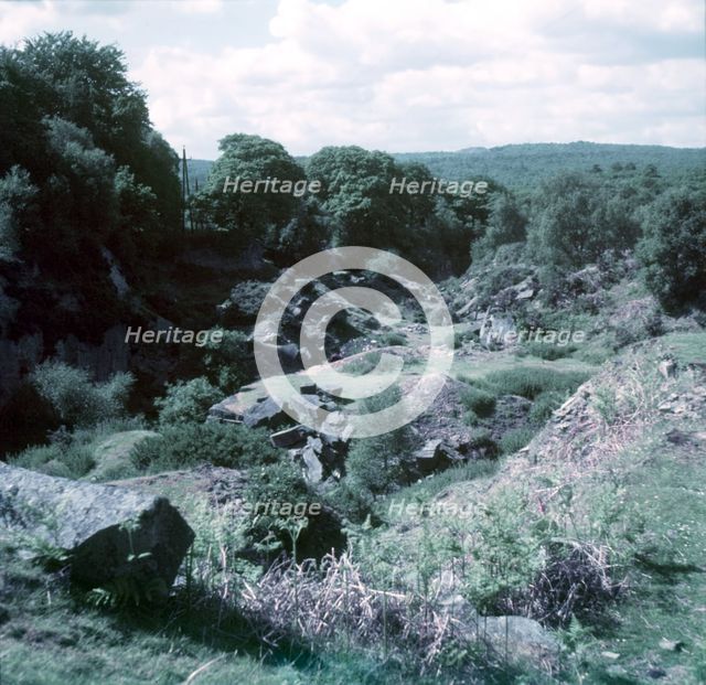 Parkend, Forest of Dean, c1955.  Creator: Arthur Charles Kirby Ware.
