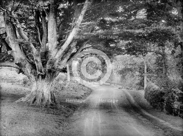 Parkland surrounding Highclere Castle, Hampshire, c1860-c1922. Artist: Henry Taunt.