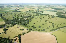 Parkland surrounding the former Scrivelsby Court, Scrivelsby, Lincolnshire, 2018. Creator: Historic England Staff Photographer