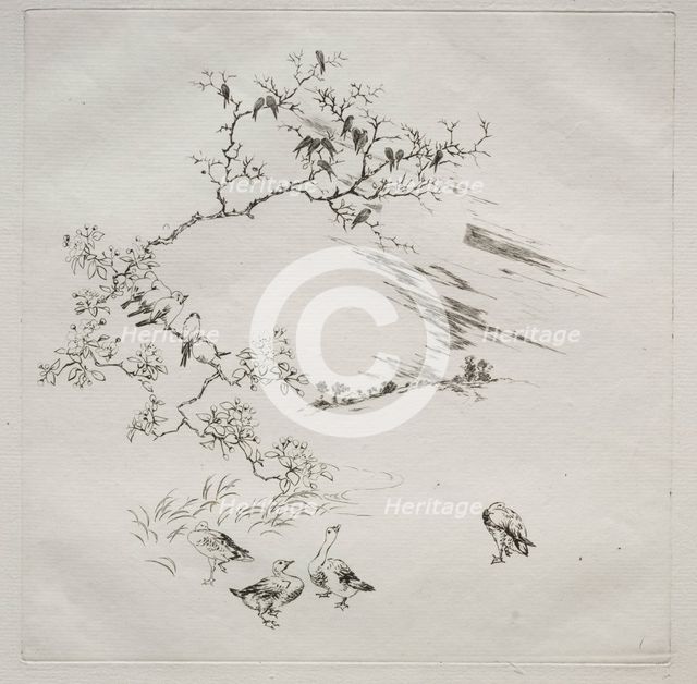Parisian Service (Haviland service): Night (no. 7), 1875. Creator: Félix Bracquemond (French, 1833-1914).