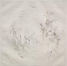 Parisian Service (Haviland service): Calm (no. 3), 1875. Creator: Félix Bracquemond (French, 1833-1914)