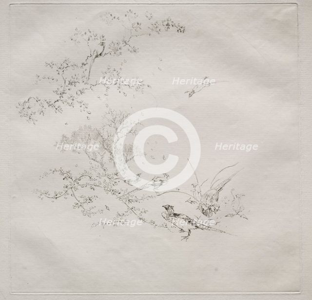 Parisian Service (Haviland service): Fog (no. 1), 1875. Creator: Félix Bracquemond (French, 1833-1914).
